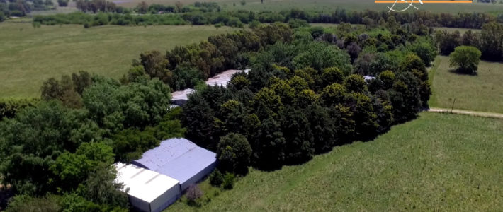 Campo en Vicente Casares